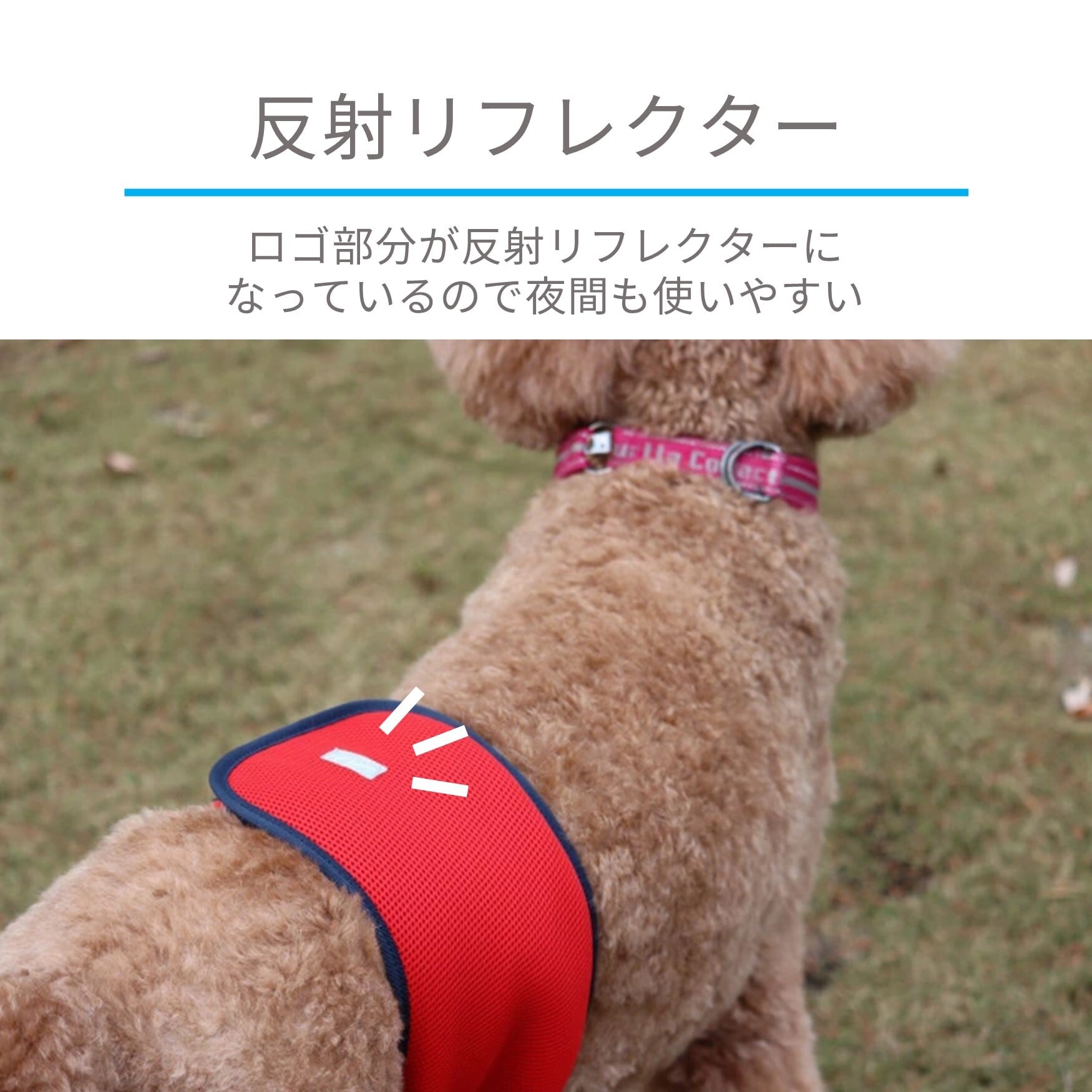 Hakusan]こんなマナーベルトが欲しかった【ファーストマナーベルト