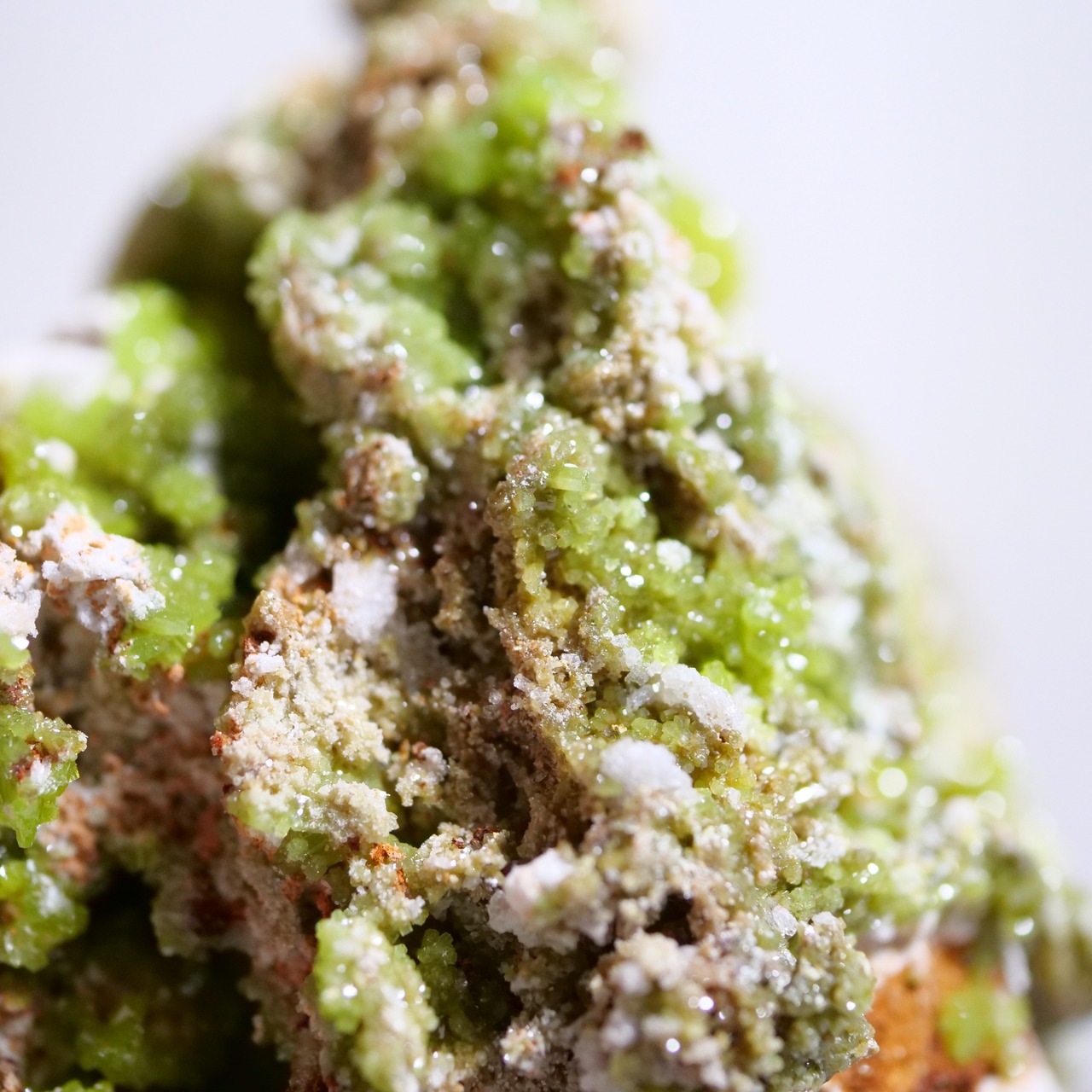 パイロモルファイト  / 原石 標本