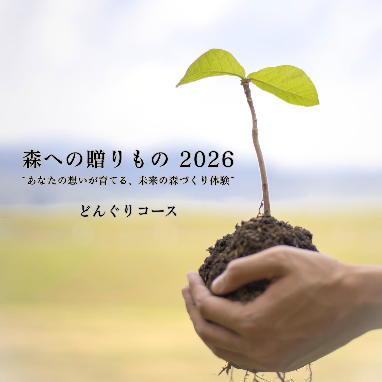 森への贈りもの 2026｜どんぐりコース ~あなたの想いが育てる、未来の