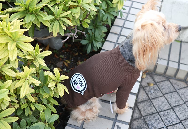 【数量限定特価】LOOKMEコーデュロイニット XS ~ XL 3color  /  犬服 長袖 ハイネック 犬の服 部屋着 室内着 小型犬 中型犬 大型犬 ドッグウェア