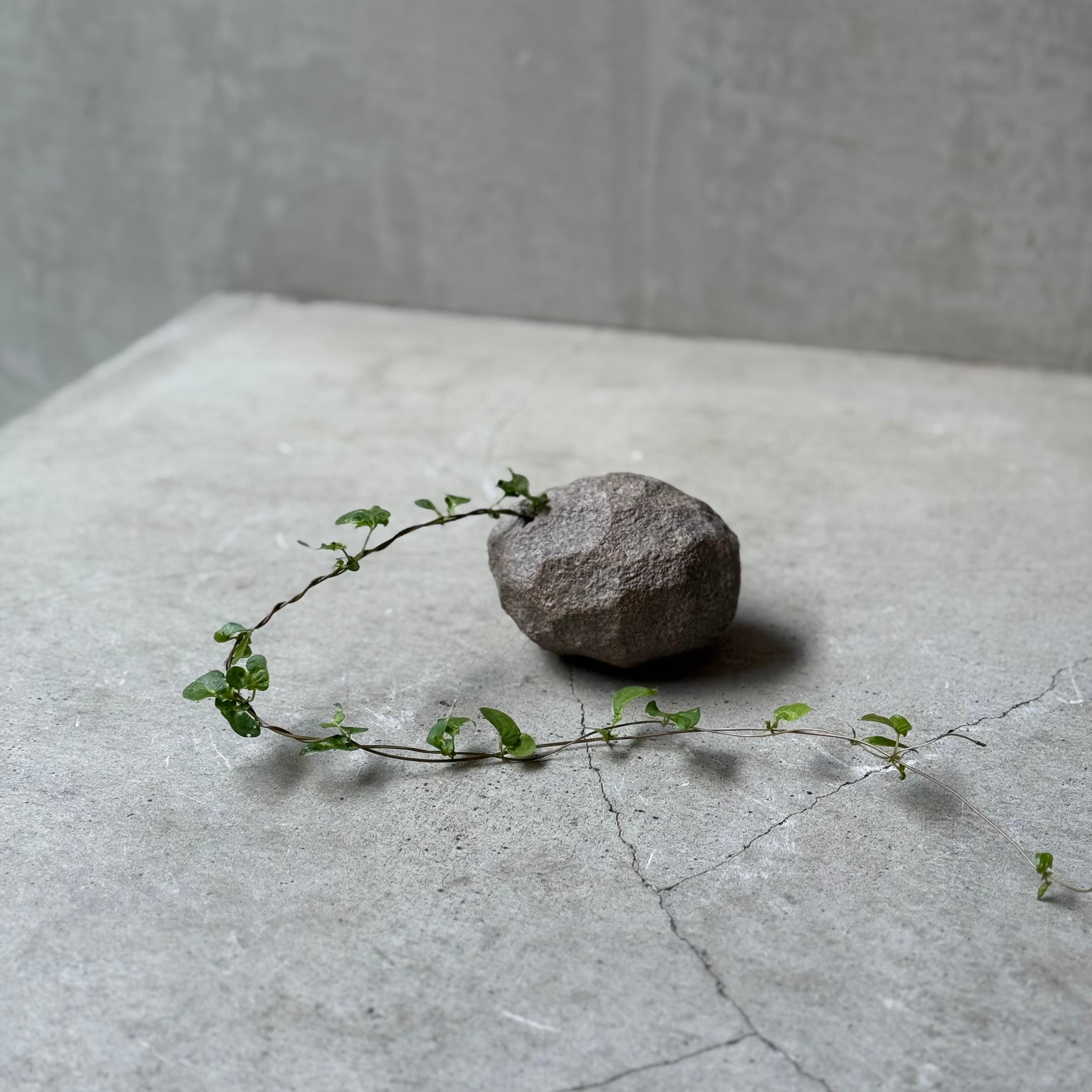 大中和典   花器