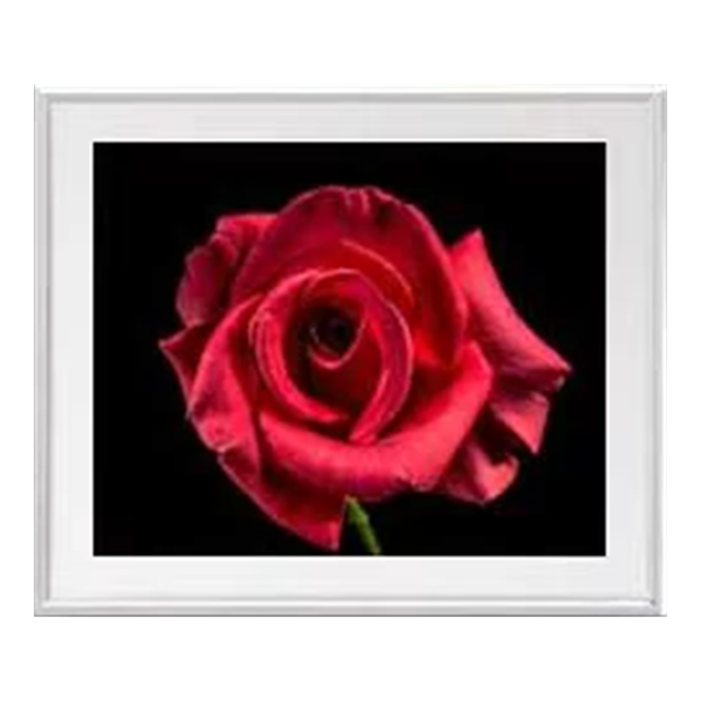 直筆仕上げ油絵  Flowers フラワーズ　♯014　アートフレーム サイズL