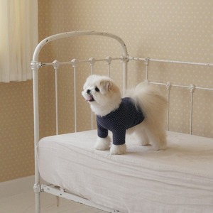 【予約】[ togethering ] Eyelet Crop T-Shirt｜Dot