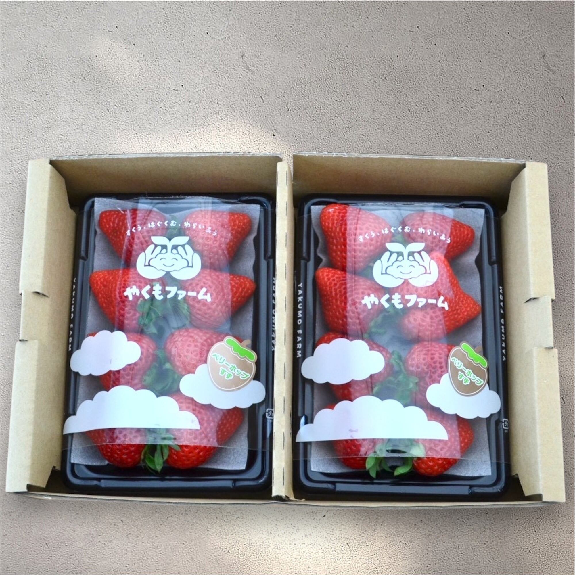 完熟 ベリーポップすず 2パック 朝採れ 当日発送 【送料込】 【新感覚