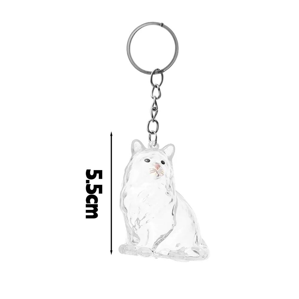 □☆新品未使用品☆ねこちゃん小物収納♪メインクーン☆メモリアル
