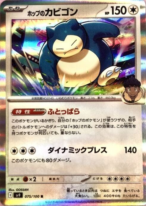 【美品】ホップのカビゴン(R)