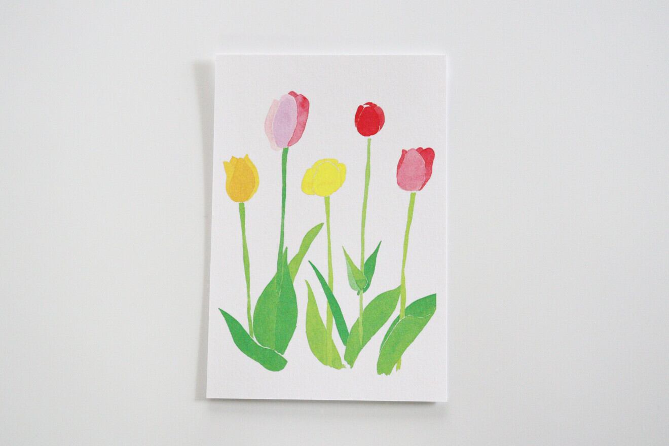 川島枝梨花 「チューリップ」ポストカード