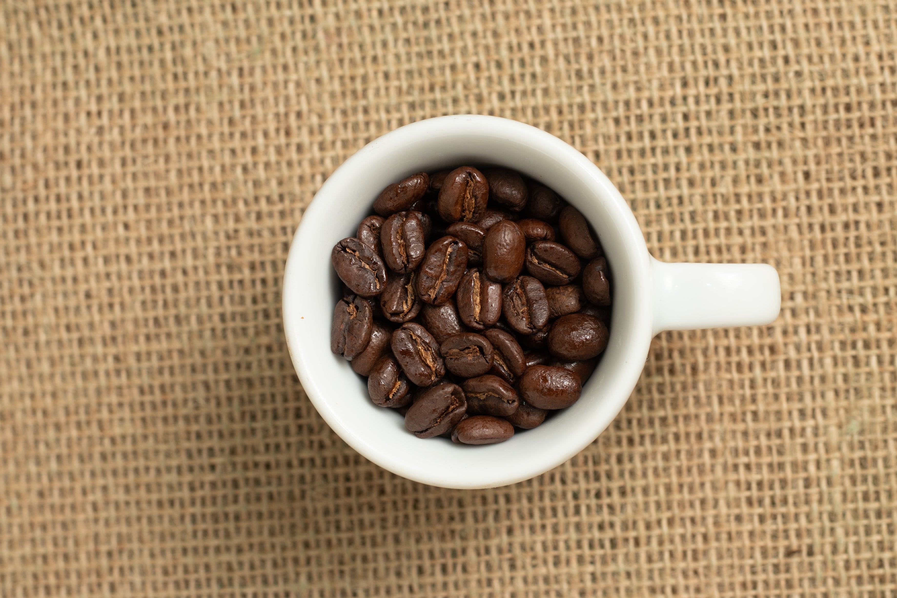 マンデリン G-1 100g | スロージェットコーヒー SLOW JET COFFEE
