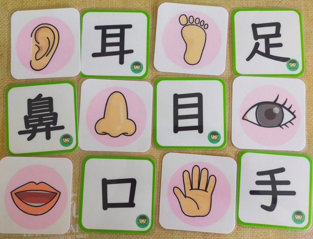 漢字カード からだ 漢字の寺子屋のお店