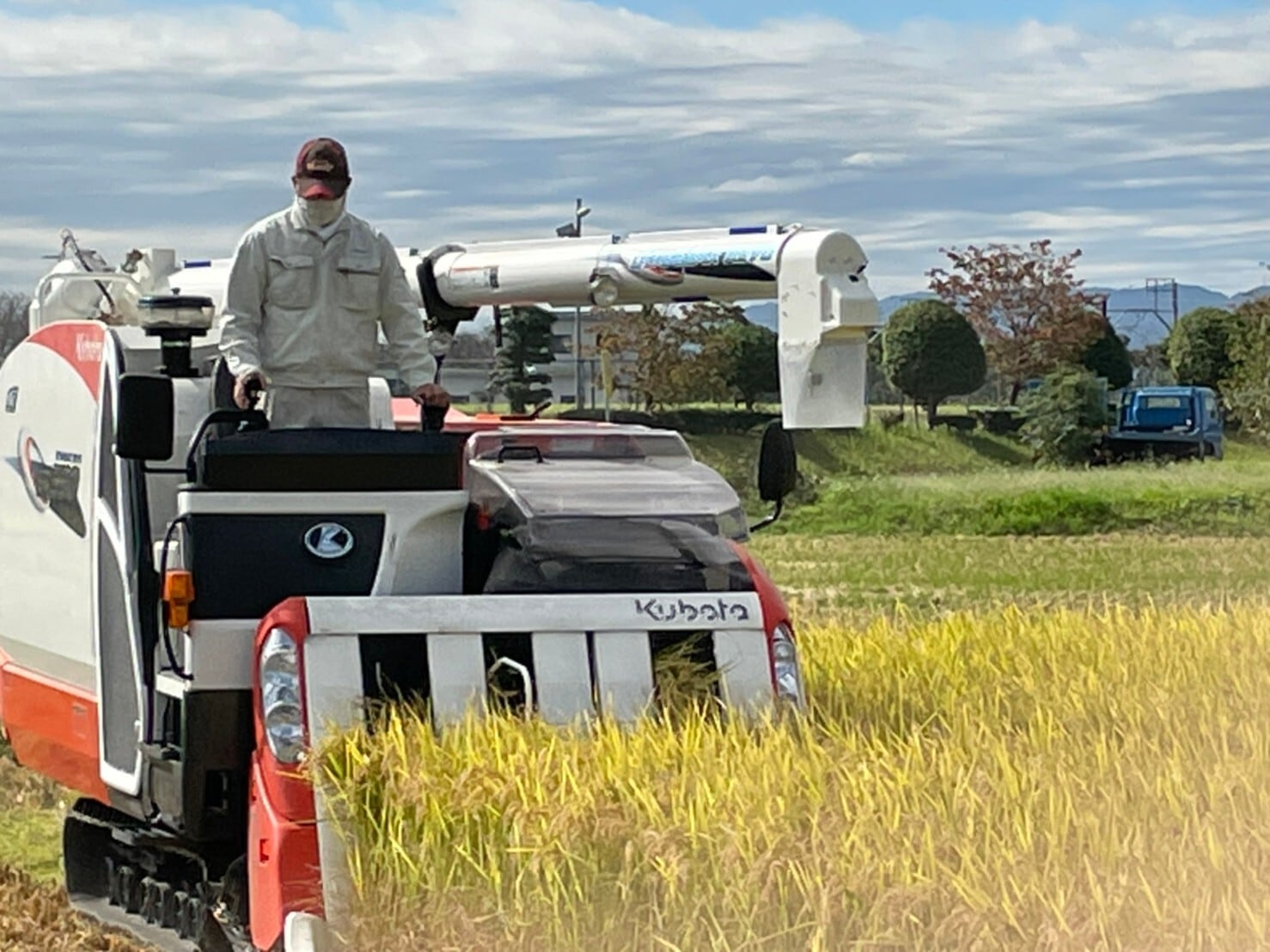 人気銘柄10kg 幻の米!岐阜県産ハツシモ【精米済】慣行栽培【令和7年産】