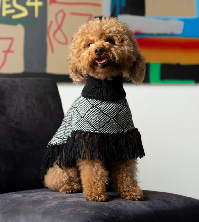 Black Diamond Poncho