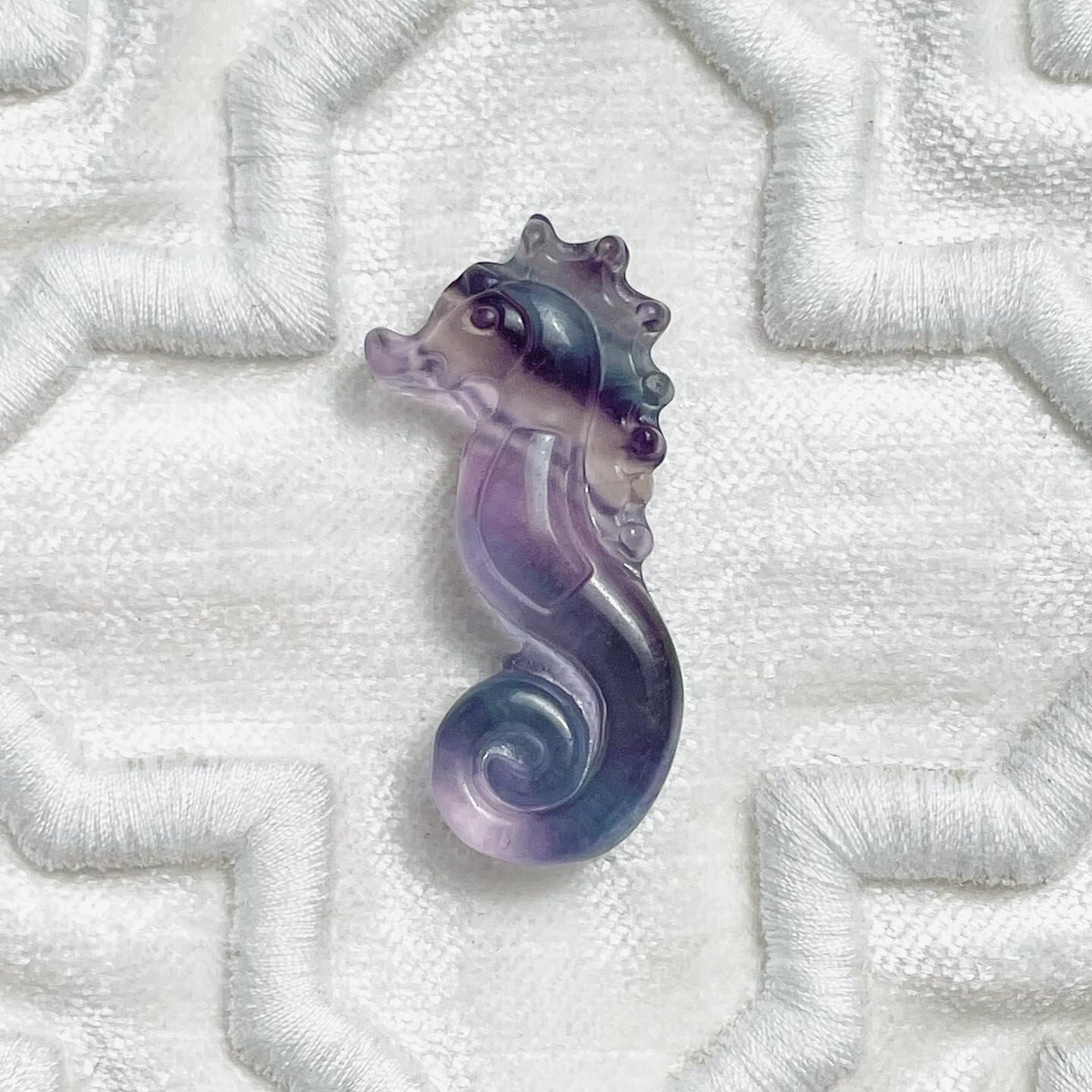 Fluorite Seahorse 1