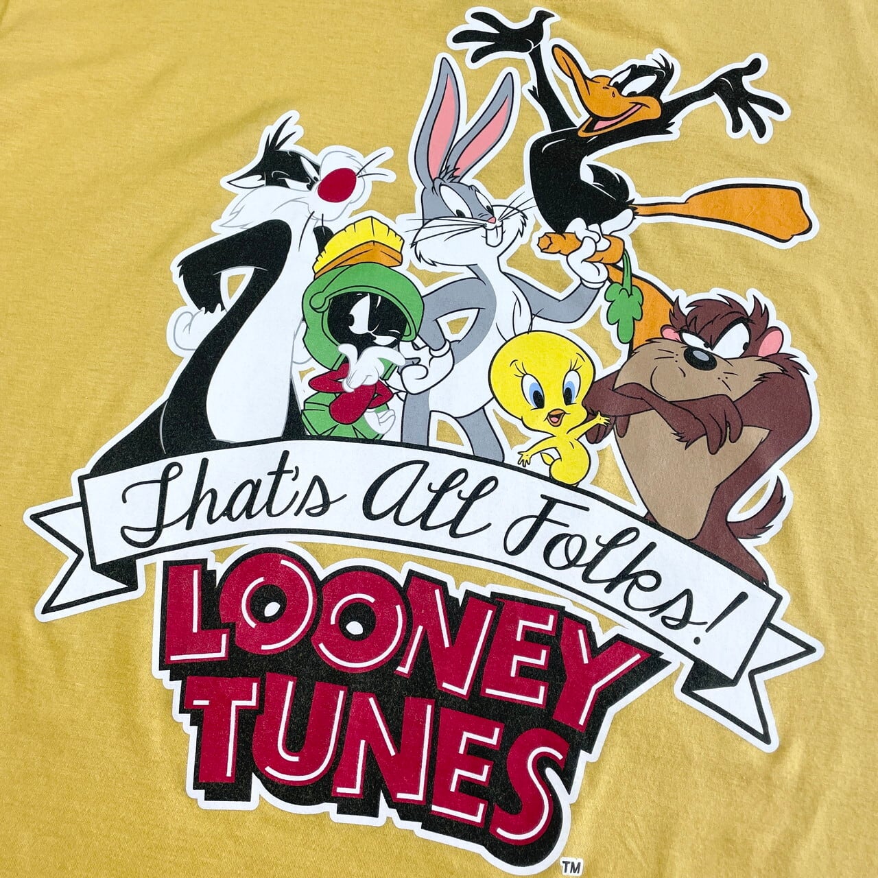 ビッグサイズ ルーニーテューンズ LOONEY TUNES TWEETY トゥイーティー 両面プリント キャラクタープリントTシャツ メンズXXXL /eaa340149