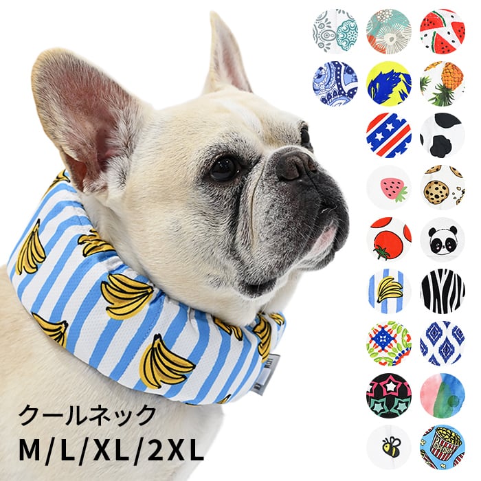 DearKM ❤︎フレンチブルドック孔明