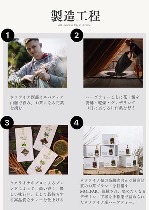 【MOLFAR】ウクライナ産ハーブティー（ヤナギラン茶　洋梨&りんご）