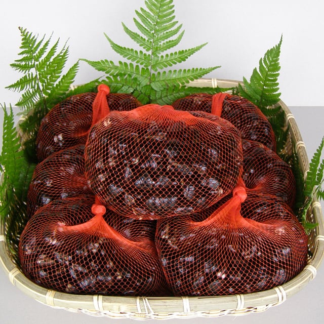 活き！大和しじみ7kg（桑名産） | しじみ屋桑名