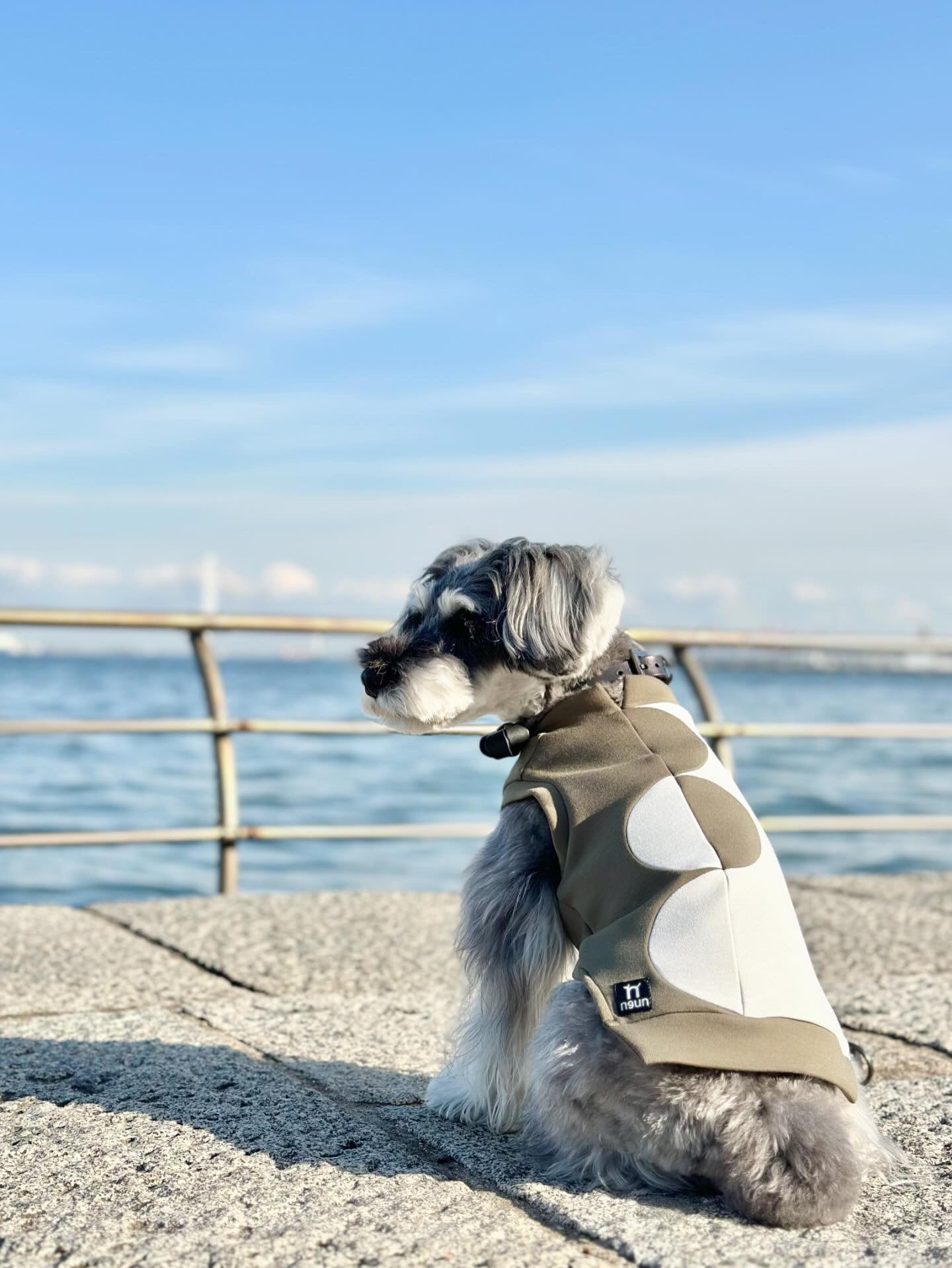 ハーフドット・タンクトップ〈KHAKI＆MINT〉 | n9un