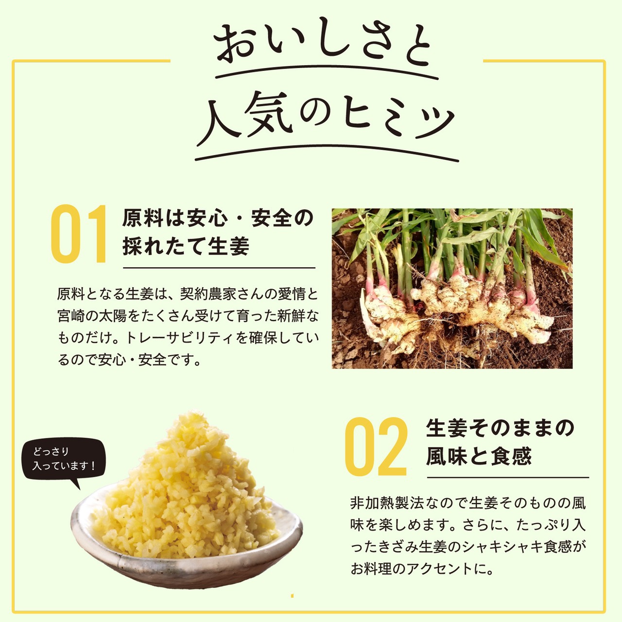【A130】【贈答用】　ドレッシング290ml　2種セット