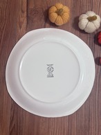【Vintage】Gefle (ｹﾞﾌﾚ)/Safari(ｻﾌｧﾘ) Plate 24cm / Sweden①