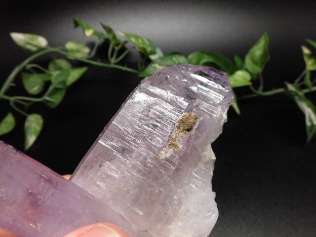 【送料無料】【高品質】メキシコベラクルス産アメシスト　no.1