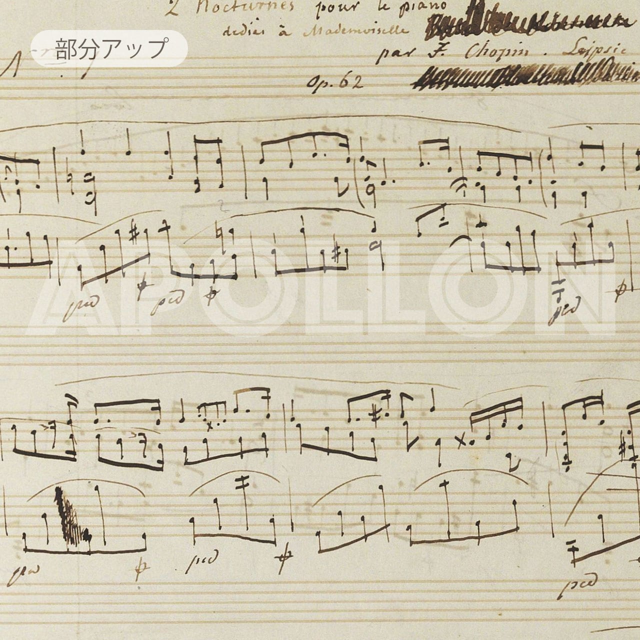 2d7bef13d34aae796fa6f4b70c0630