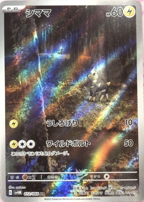 【Bランク】シママ(AR)