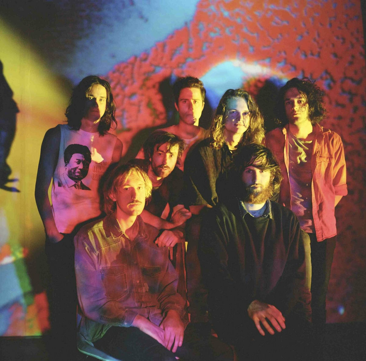 King Gizzard And The Lizard Wizard ‎/ Polygondwanaland（500 Ltd Picture Disk LP）