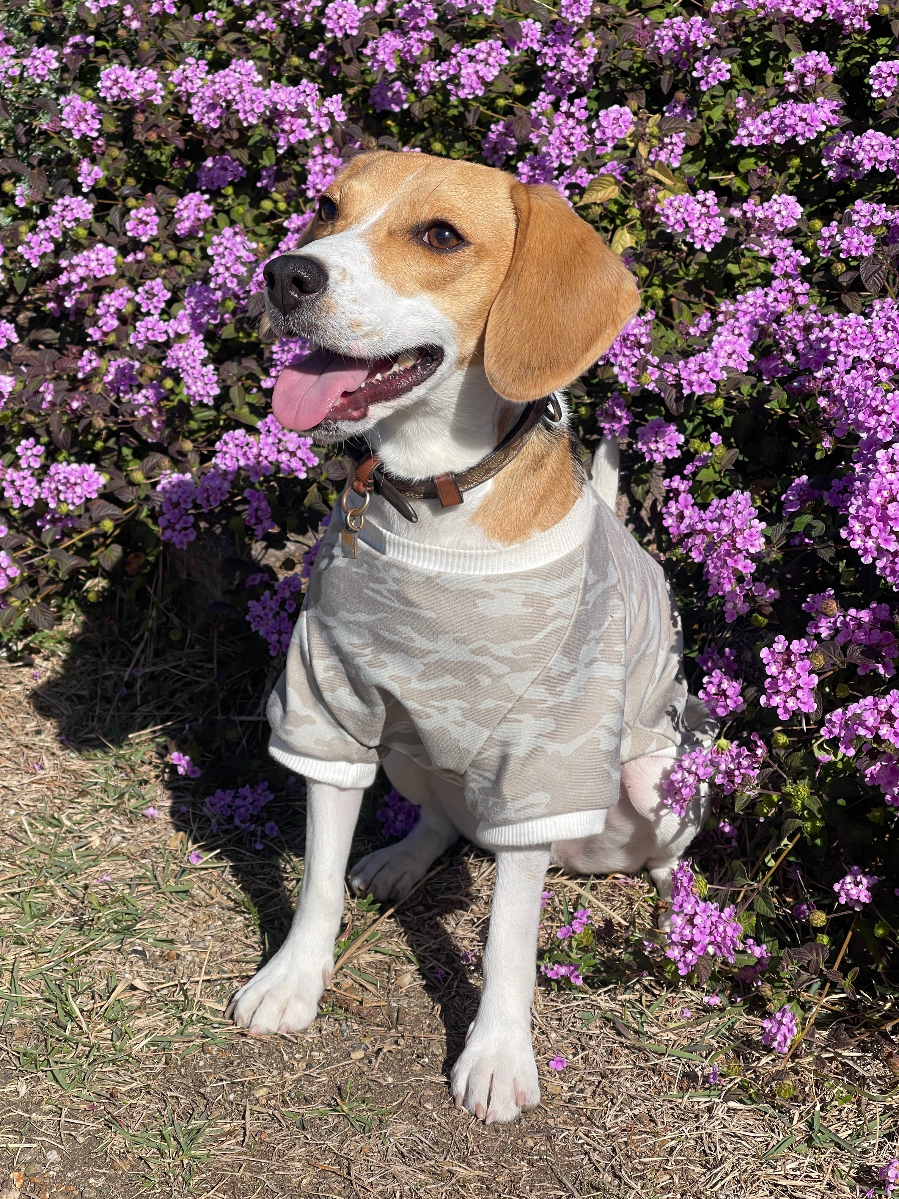 迷彩柄トップス