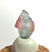【1475】バイカラートルマリン ブラジル産 0.68ct