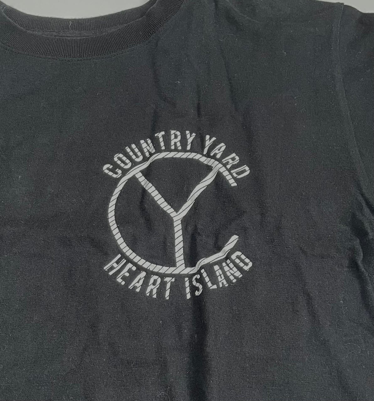 USED】COUNTRY YARD Tシャツ バンドT | discolor