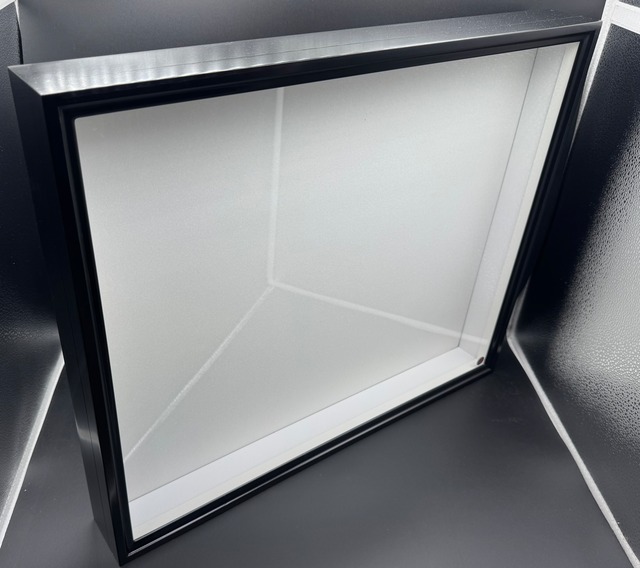 バードウィング製 ドイツ型標本箱 大型薄型BW55