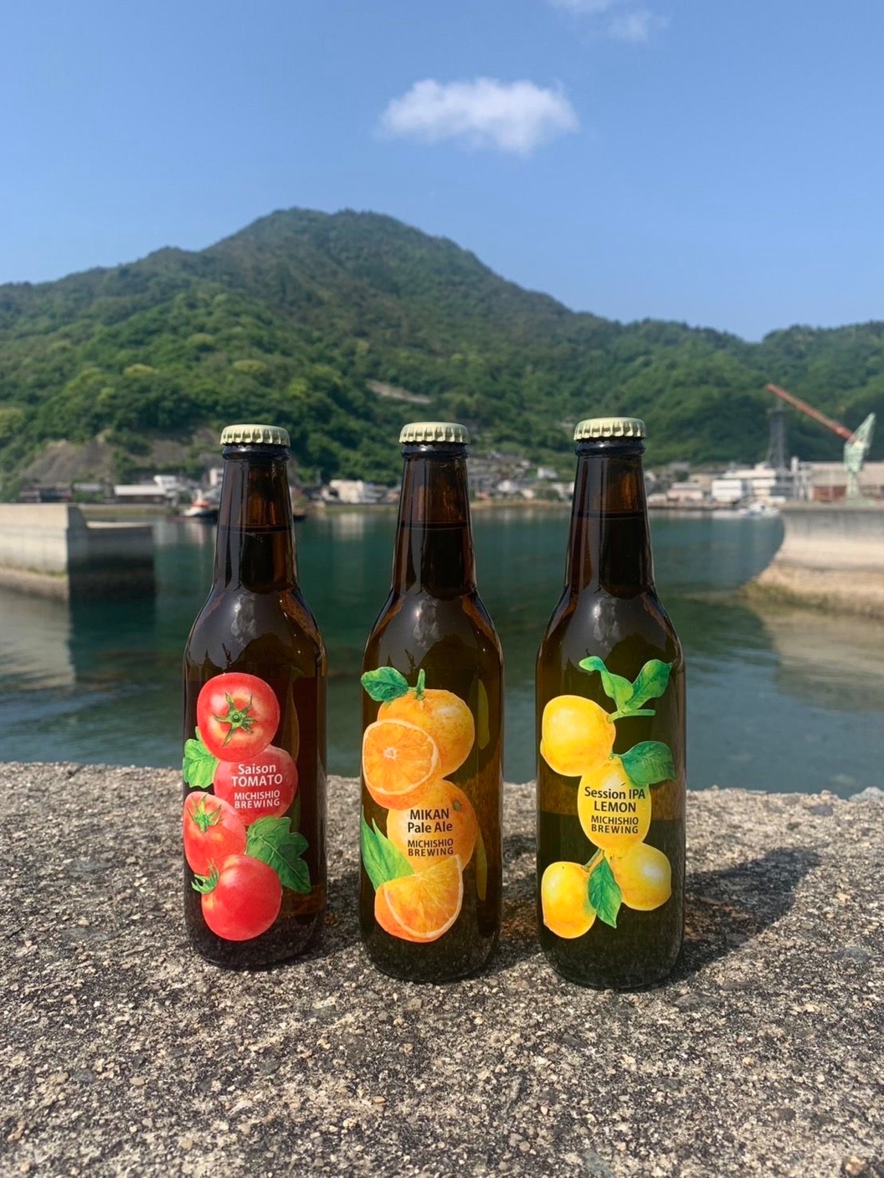MICHISHIO BREWING みかんPale Ale　330ml
