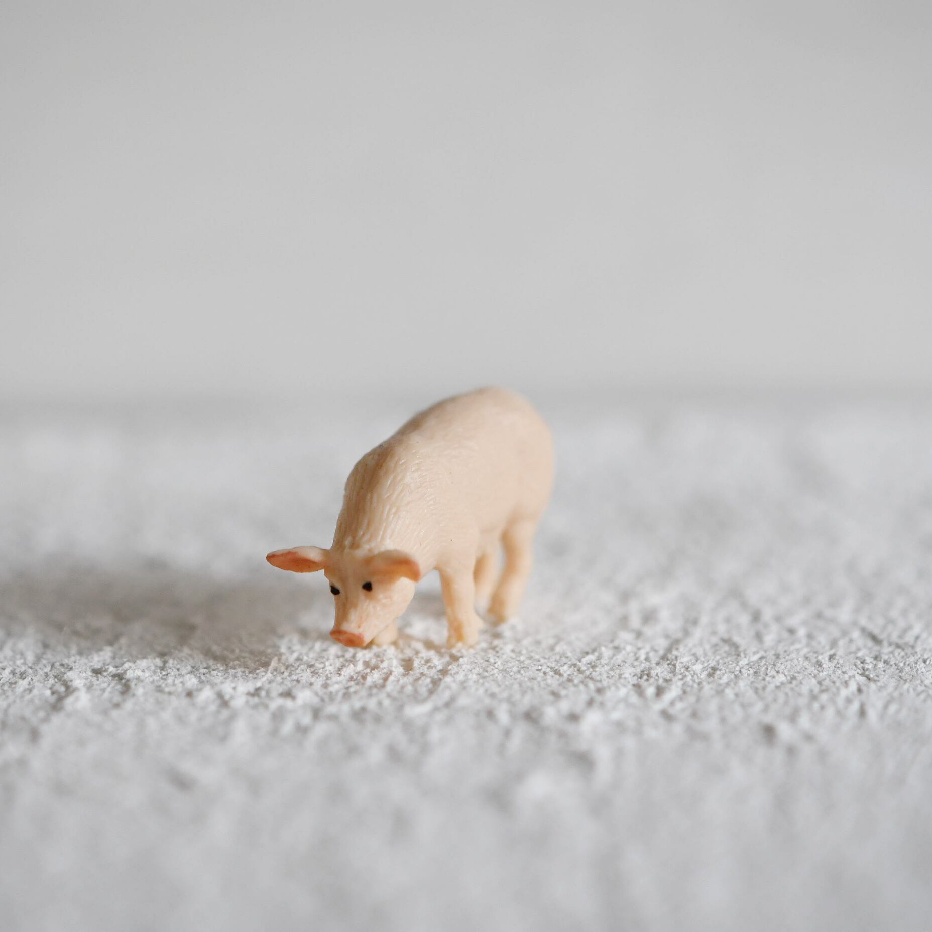 レイアウト用 フィギュア ブタ 苔テラリウム専門ショップ道草 レイアウト用 フィギュア ブタ 苔テラリウム専門ショップ道草