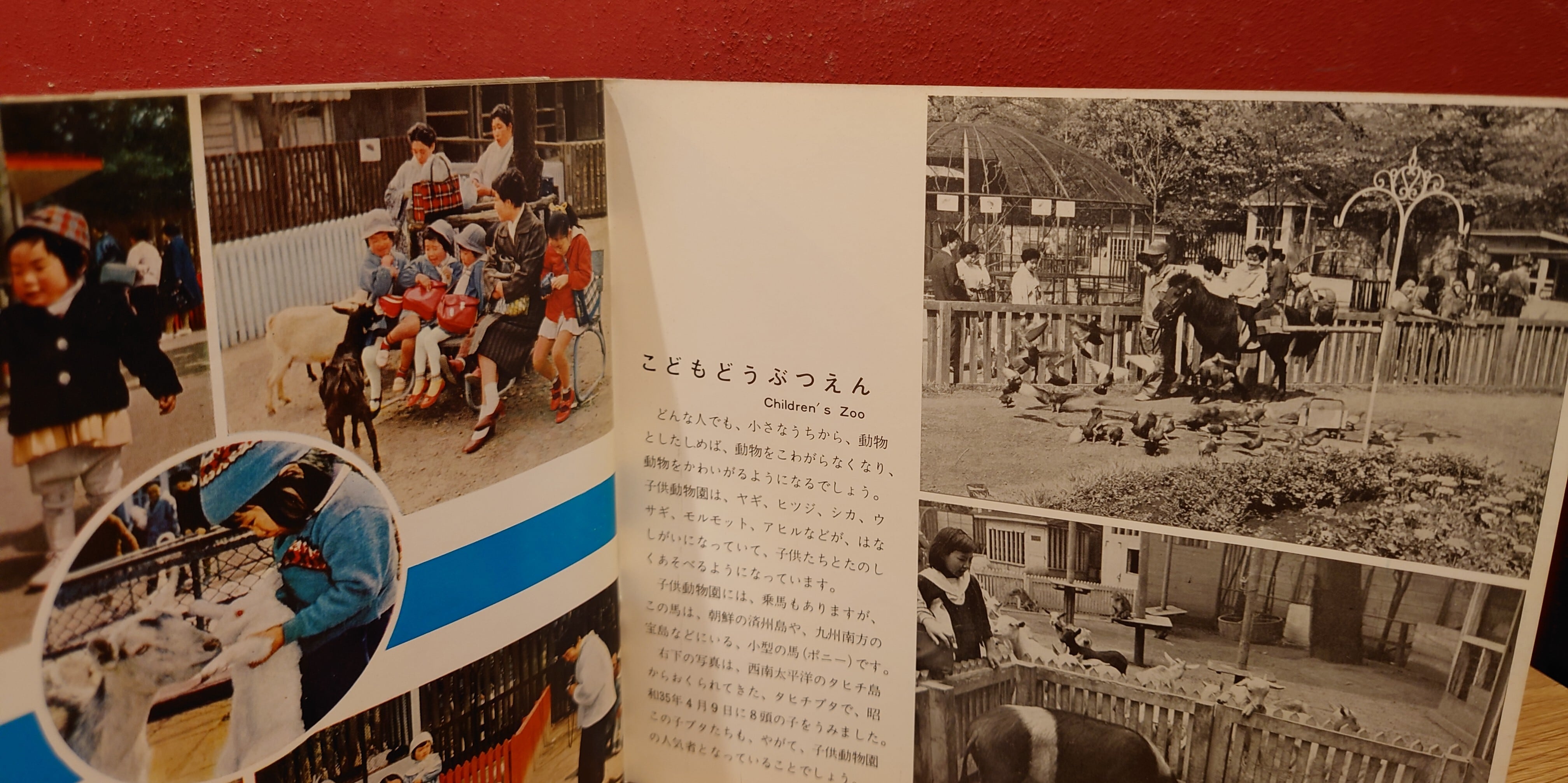 上野動物園グラフ(昭和36年8月) | 弥生坂 緑の本棚 上野動物園グラフ(昭和36年8月) | 弥生坂 緑の本棚