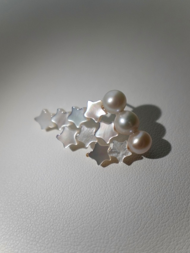 STARDUST