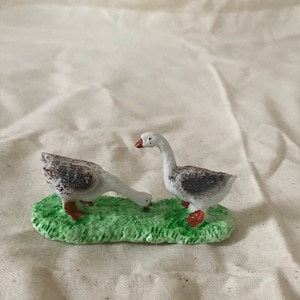 カップルなアヒル1