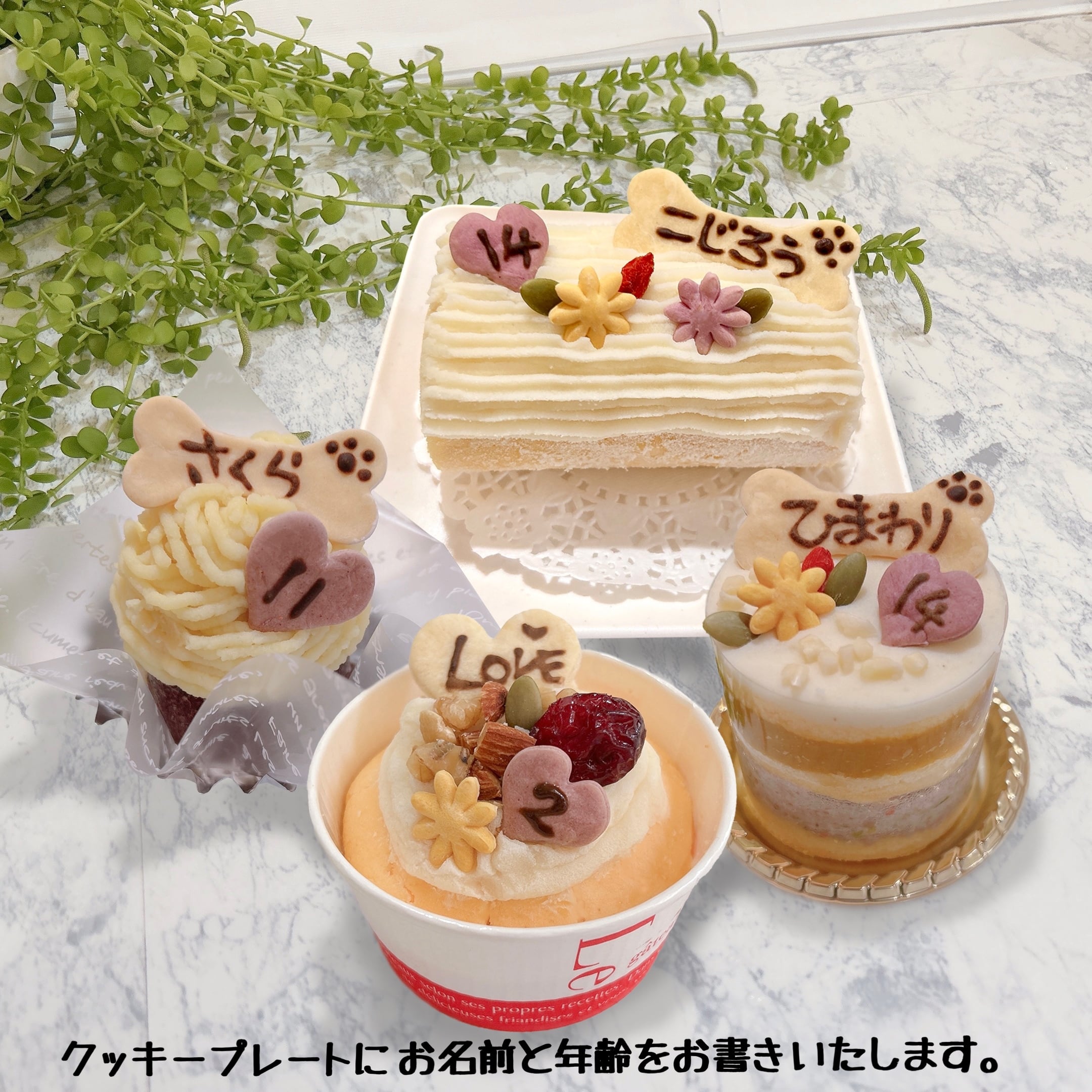 2d9c97ef748f0e90ed504ec3a33edb