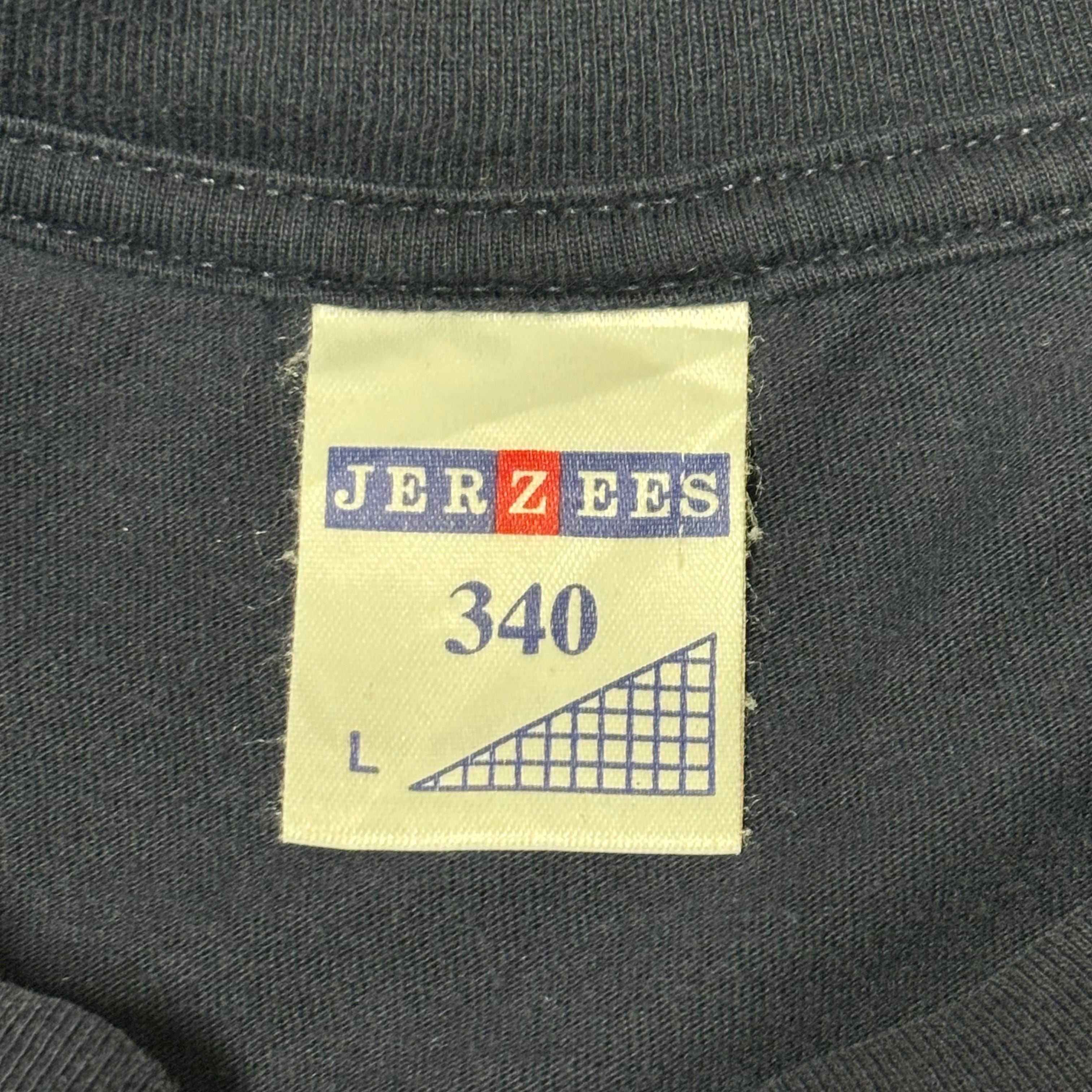 90s アートt ルネ・マグリット　サイズL JERZEESボディ 00's ルネマグリット アート Tシャツ ル・グラン・スタイル Rene