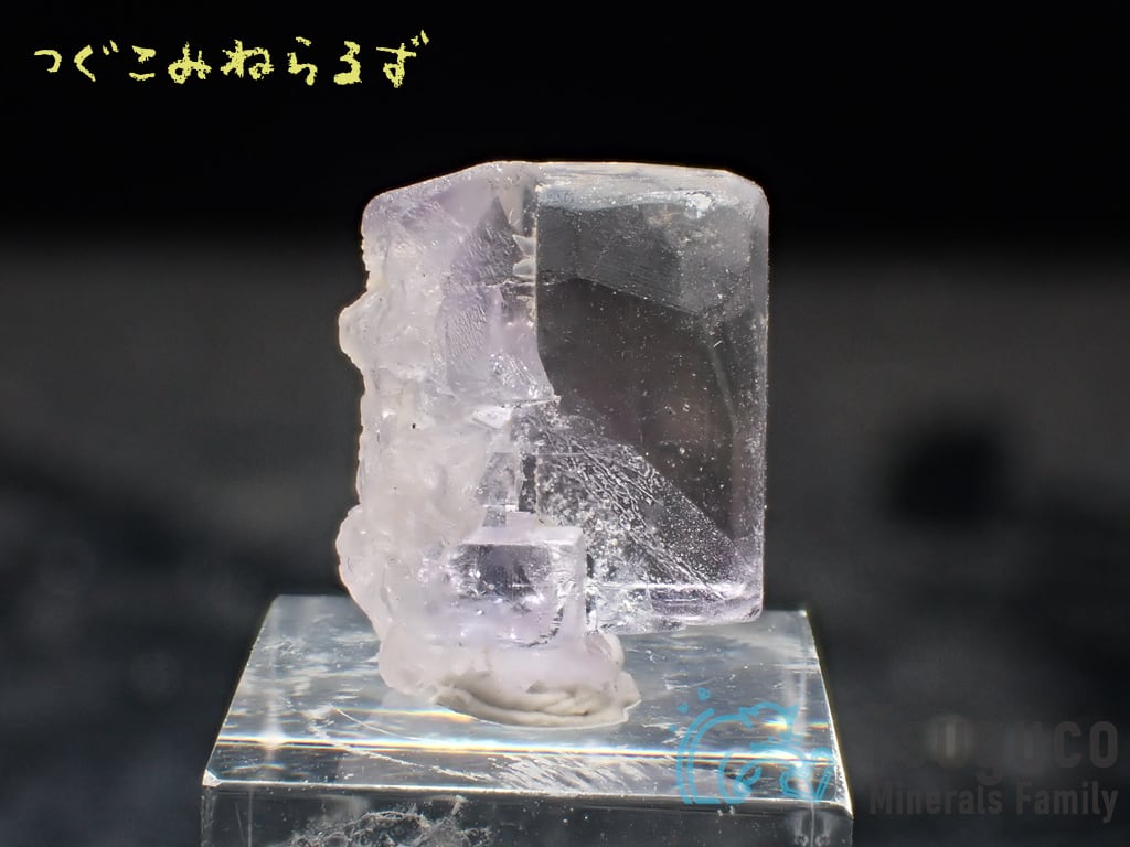 フローライト 蛍石 Fluorite スペイン TM-0049【レタパライト可】