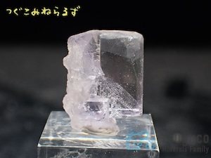 フローライト 蛍石 Fluorite スペイン TM-0049【レタパライト可】