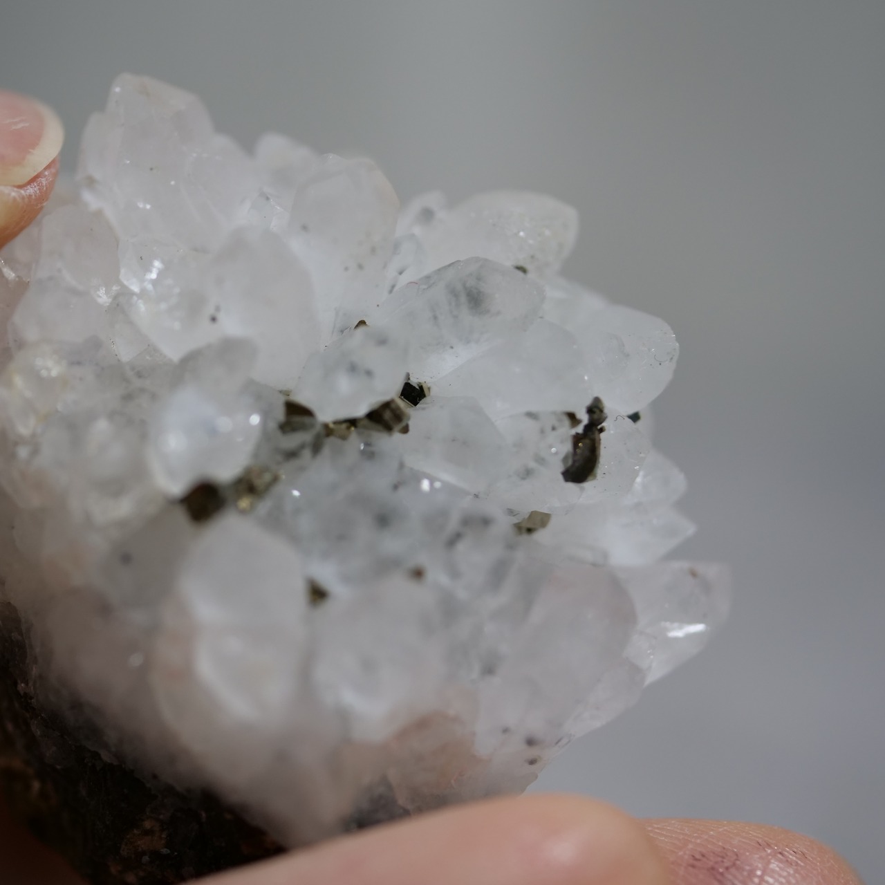 クリアクォーツ / パイライト / 原石 標本