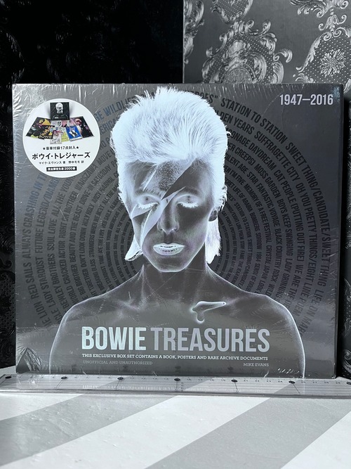 未開封 限定2000部　ボウイ・トレジャーズ　BOWIE TREASURES