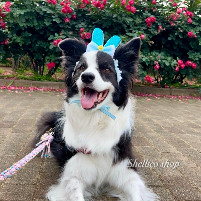 【ウサ耳カチューシャ】blue