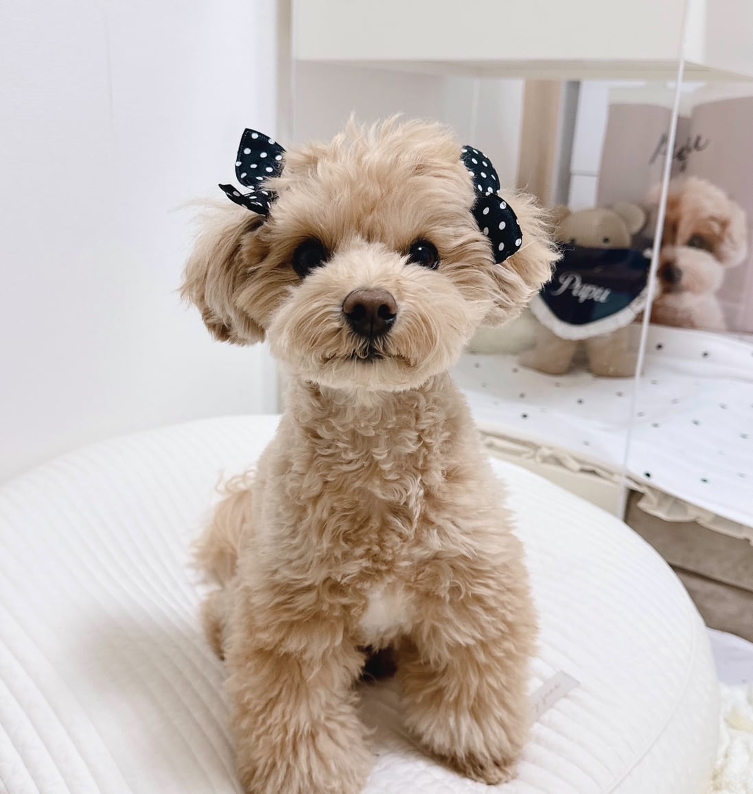 お耳につけるドットのおリボンゴム