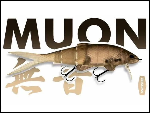 マドネス バラム200 re#04 リアル琵琶湖ハス 限定カラー | fishrock