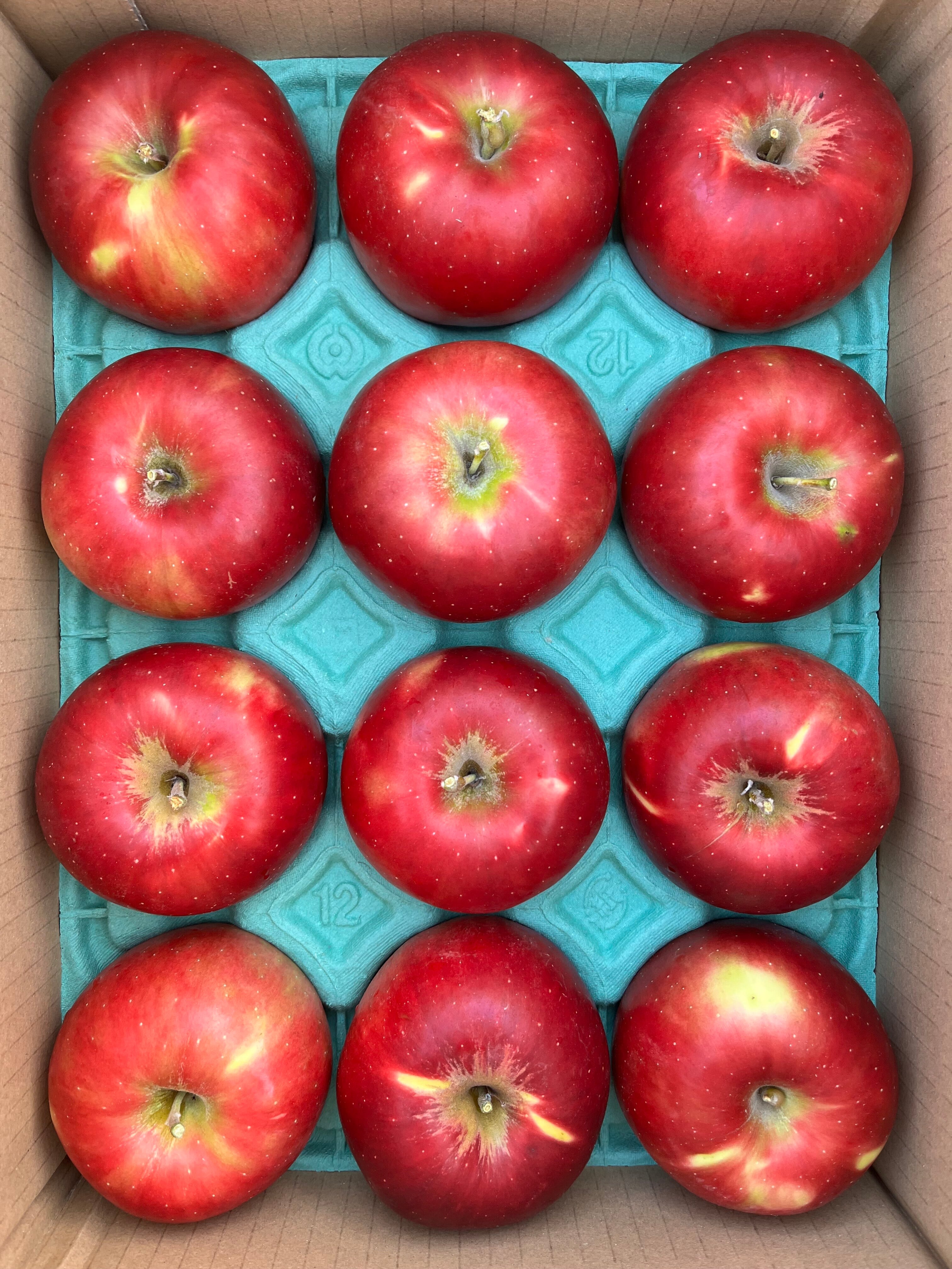 龍ノ口りんご園