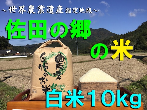 【令和５年新米】佐田の郷の米（白米１０kg／玄米１１kg）【慣行栽培米】