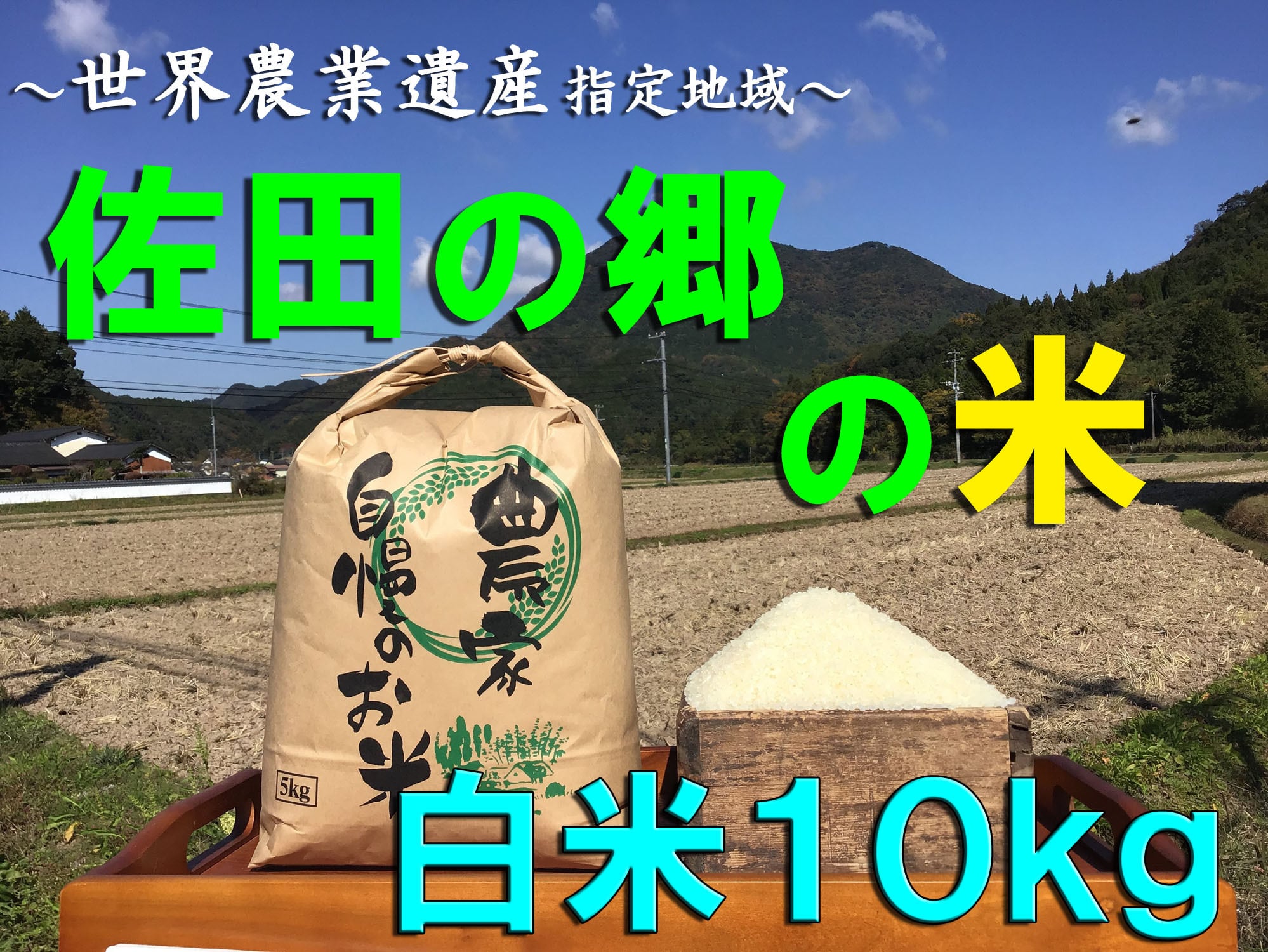 令和５年新米】佐田の郷の米（白米１０kg／玄米１１kg）【慣行栽培米】　佐田の郷