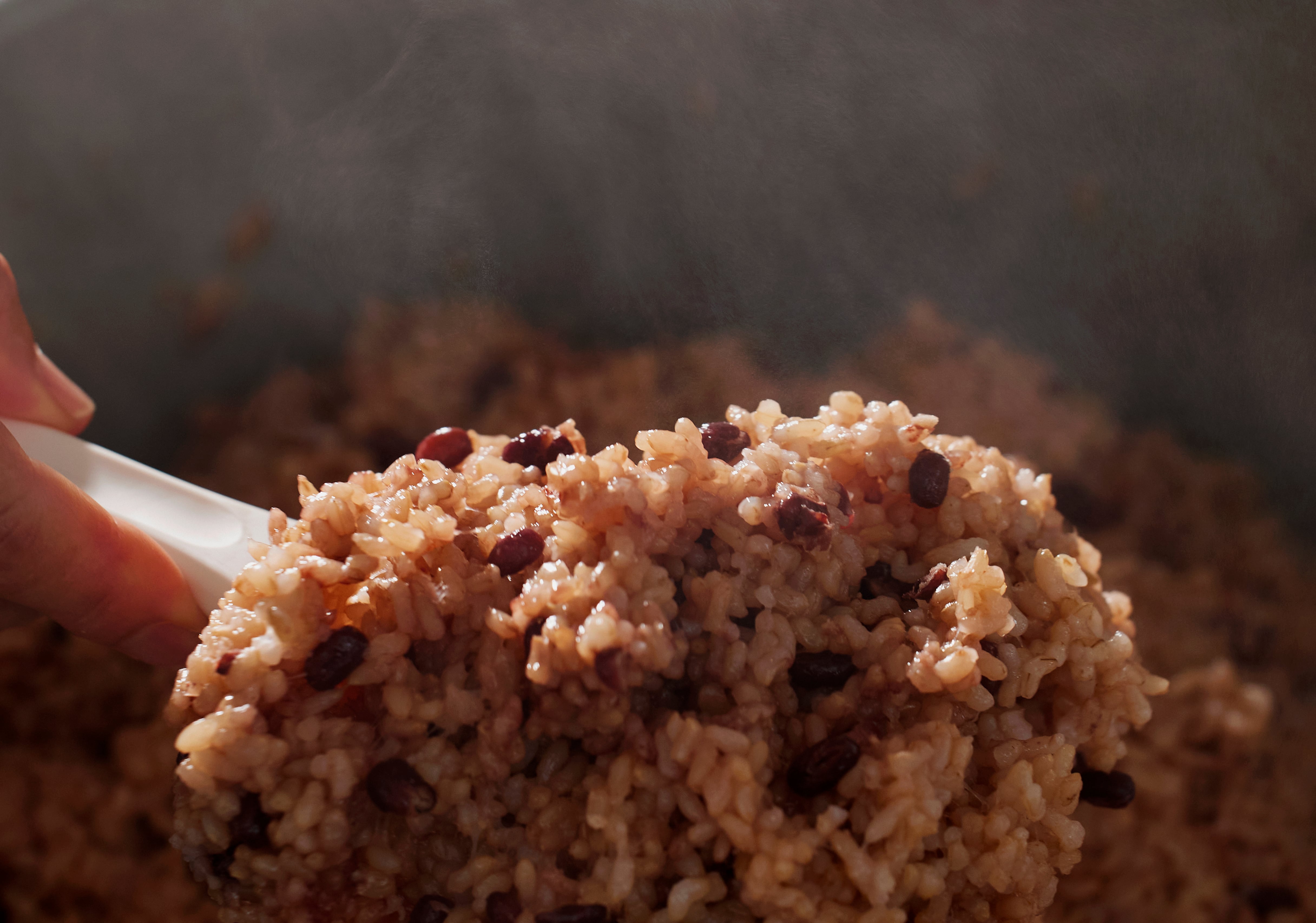 ランチジャー：大 | 幸光堂（コウコウドウ） coocoodoo 長岡式酵素玄米