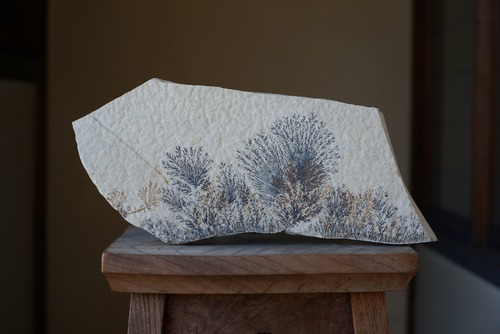 デンドライト 忍石 Dendritic limestone  ⑩